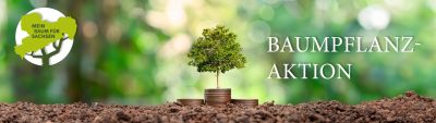 Header-Bild | Aktuelles | Baumpflanzaktion 2024 | HENKA